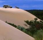 pemberton WA sand dune