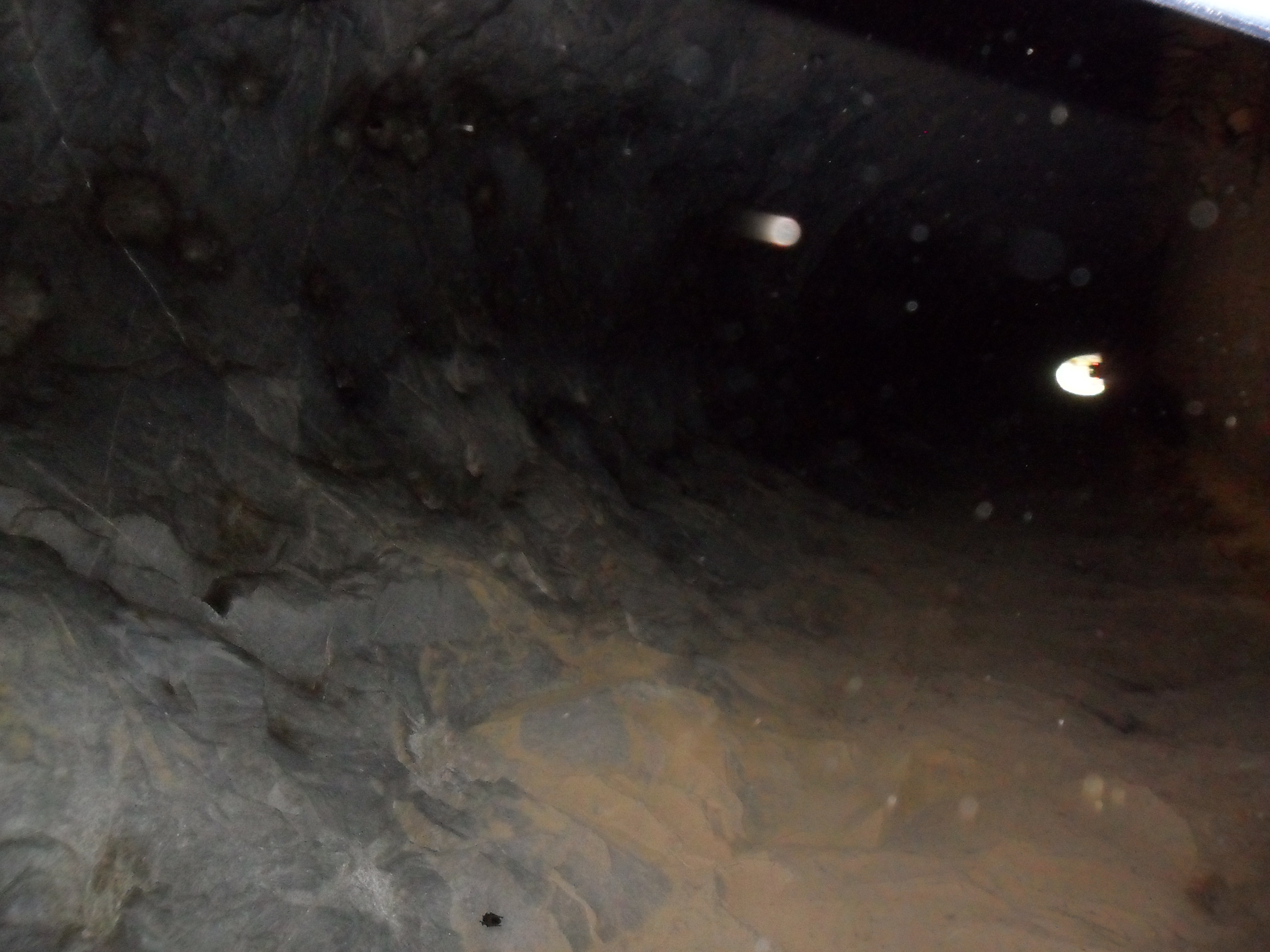 Seeing The Bats Inside Boolboonda Tunnel 