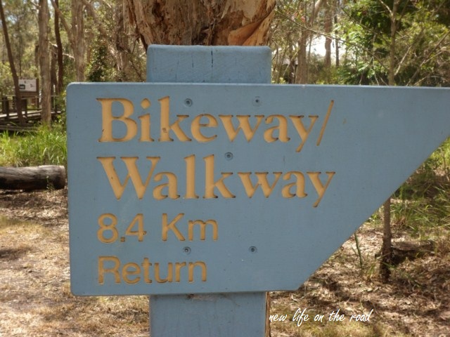 Walkway Bike Riding Boondall Wetlands