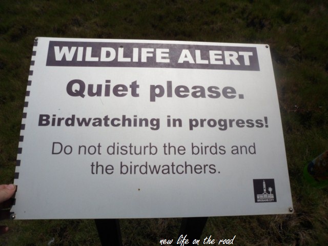 Quiet Please at Boondall wetlands