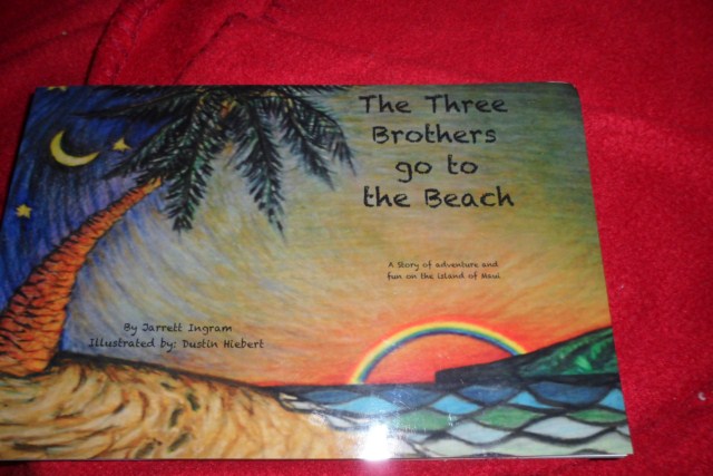 Three Brothers Go to the Beach book