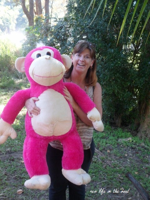 Pink Monkey won at the show