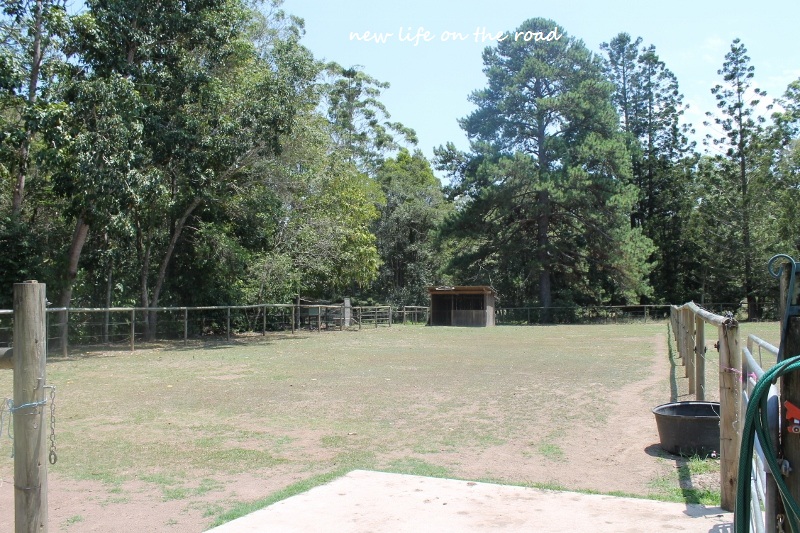 Horse Paddock on the property
