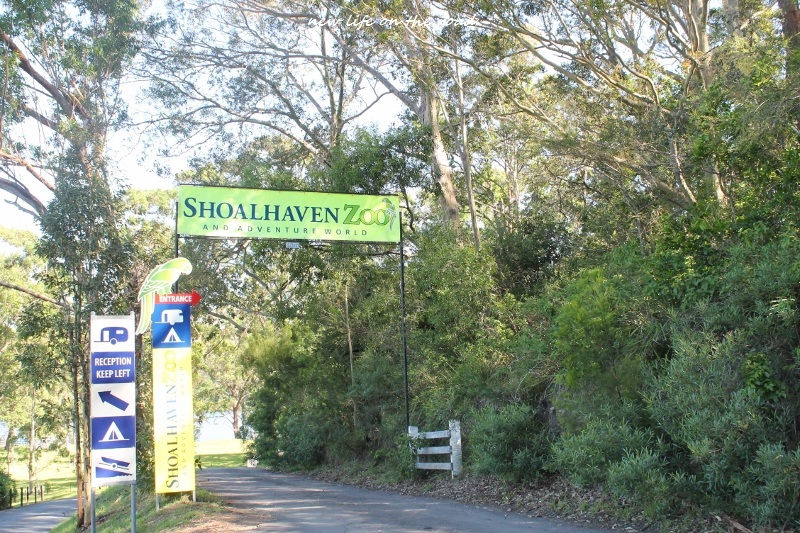 Shoalhaven Zoo