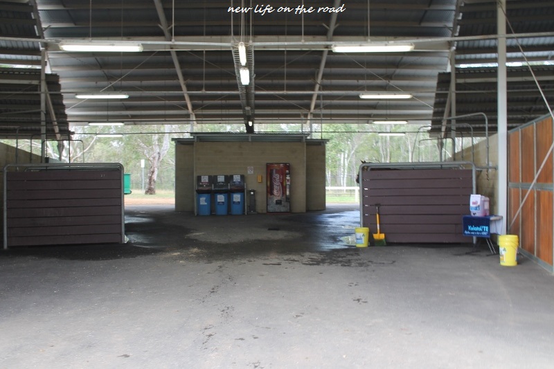 Horse Wash Bays in the Stables