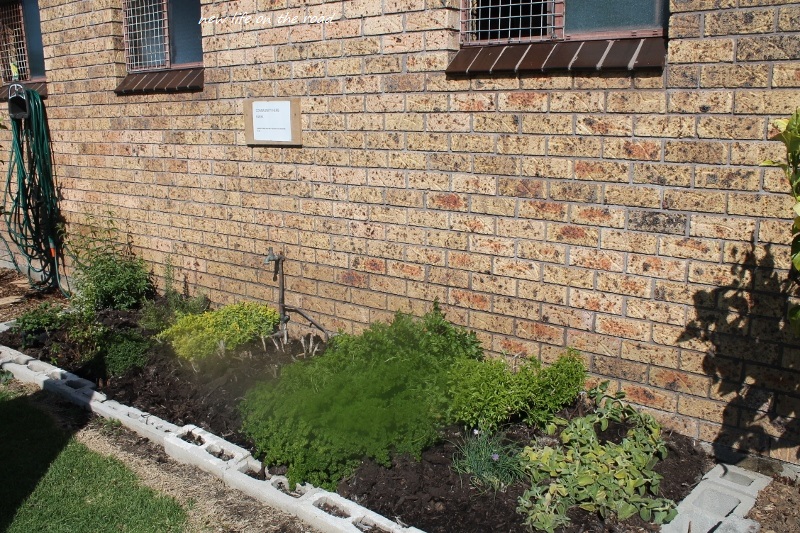 The Herb Garden For The Residents