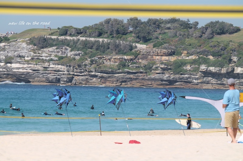 Kites on the Beach