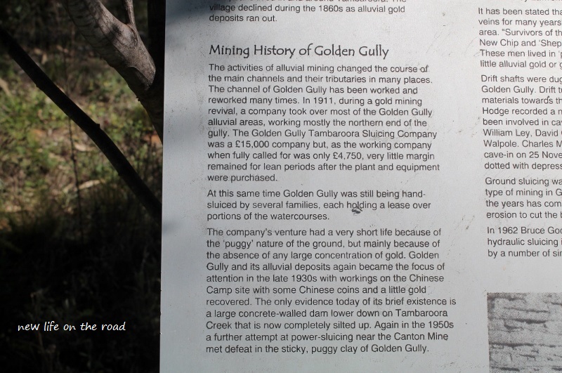 Mining History