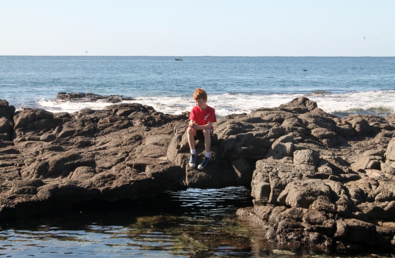 looking into the rock pools