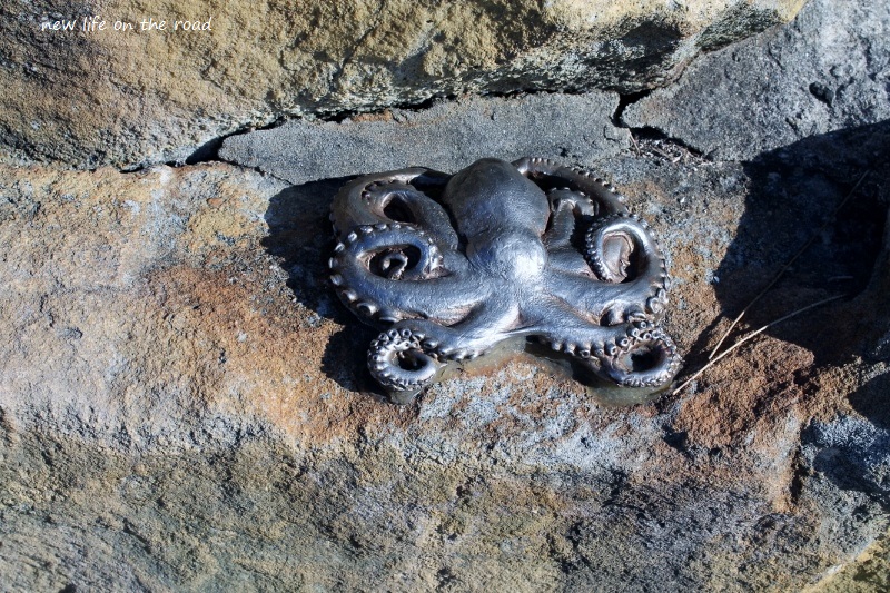 Gloomy Octopus