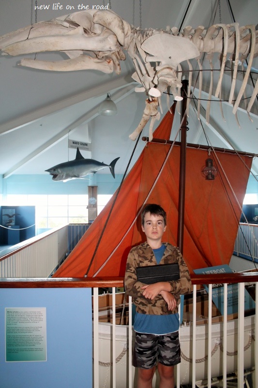 Cameron at the Killer Whale Museum