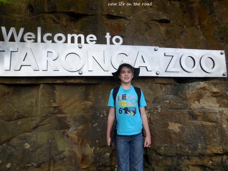 Cameron at Taronga Zoo
