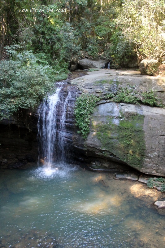 Buderim Waterfalls