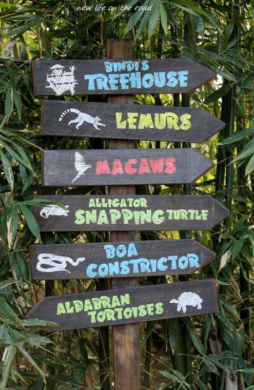 Bindis Treehouse Animals 