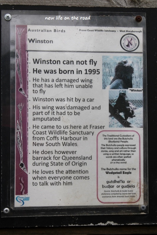 Winston Information