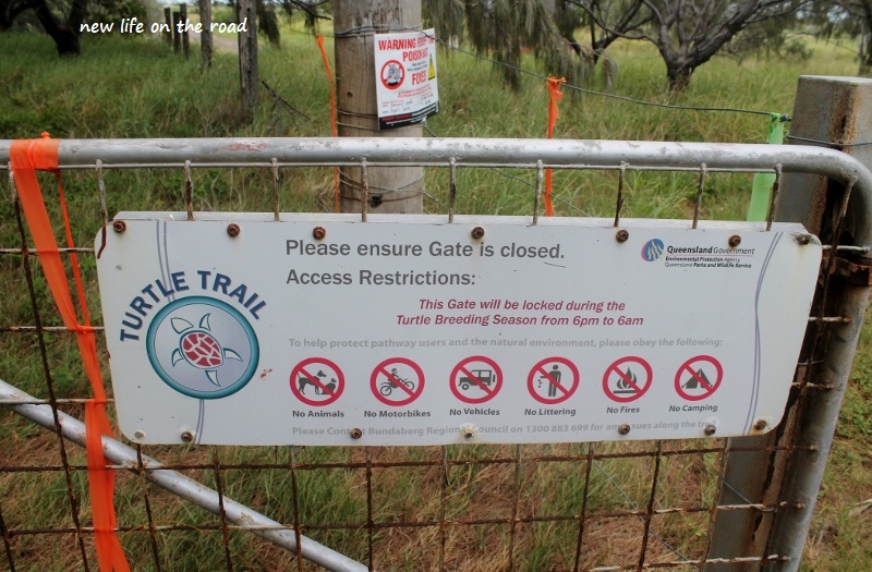 Closed gates for the turtles during breeding.