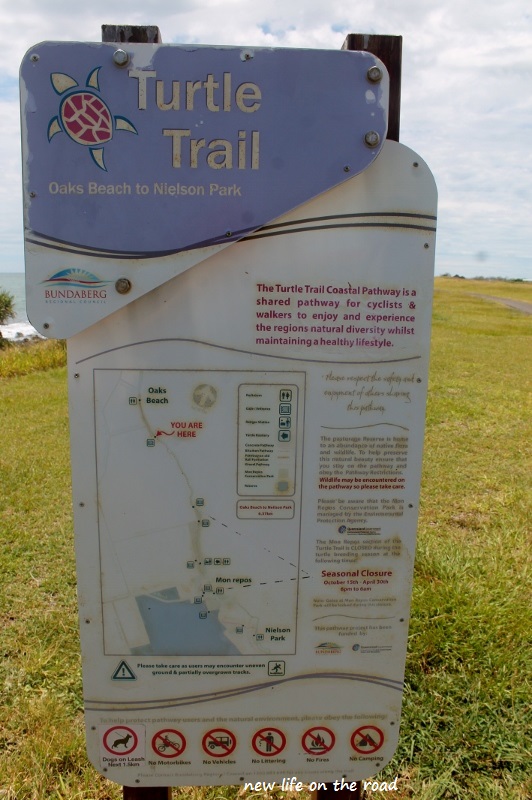 The Turtle Trail