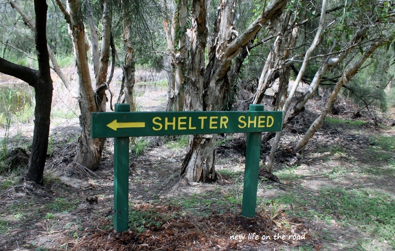 Shelter Shed