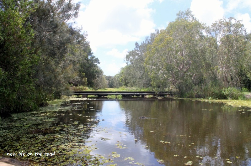 Gorgeous Baldwin Swamps