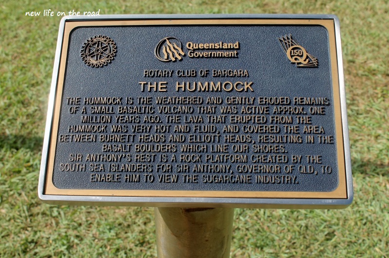Hummock Information