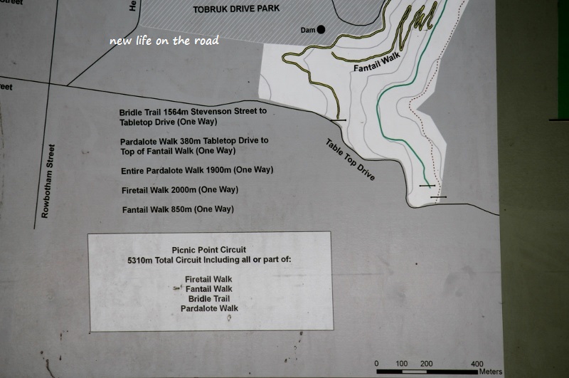 Walks and Distances in Picnic Point