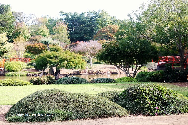 Peaceful Toowoomba Japanese Gardens