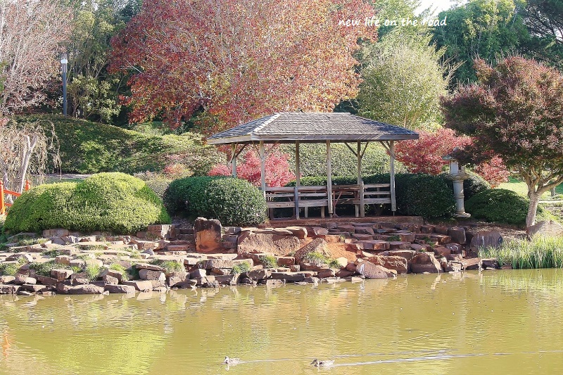 Picnic Area at the Gardens