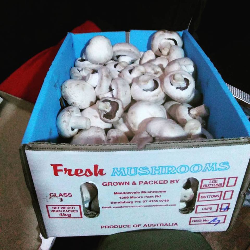 Box of Fresh Mushrooms