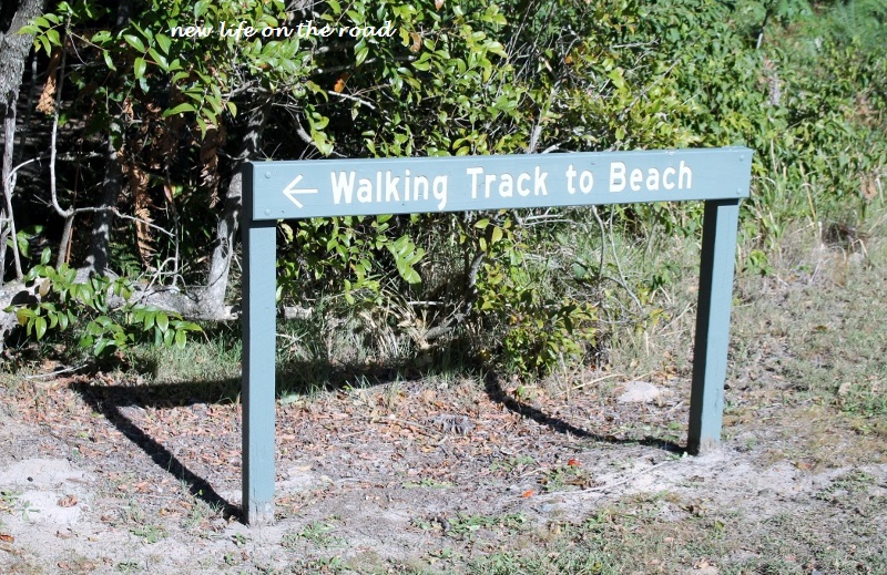 Walking track to the beach
