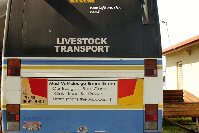 Livestock Transport Bus