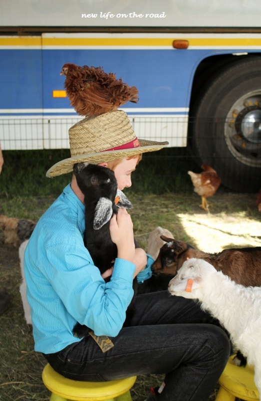 Farm Animals and Kyle